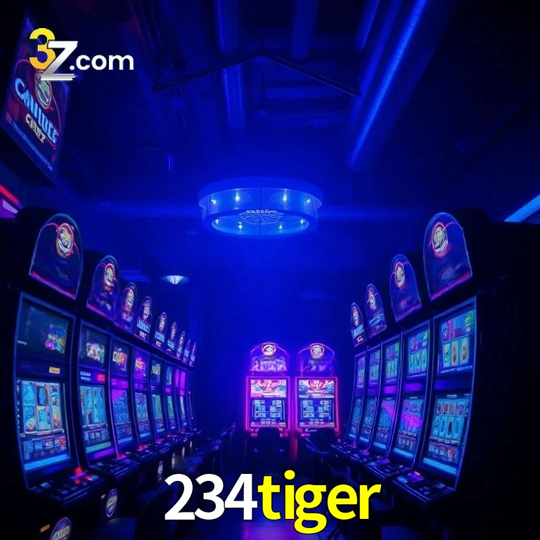 234tiger App Security